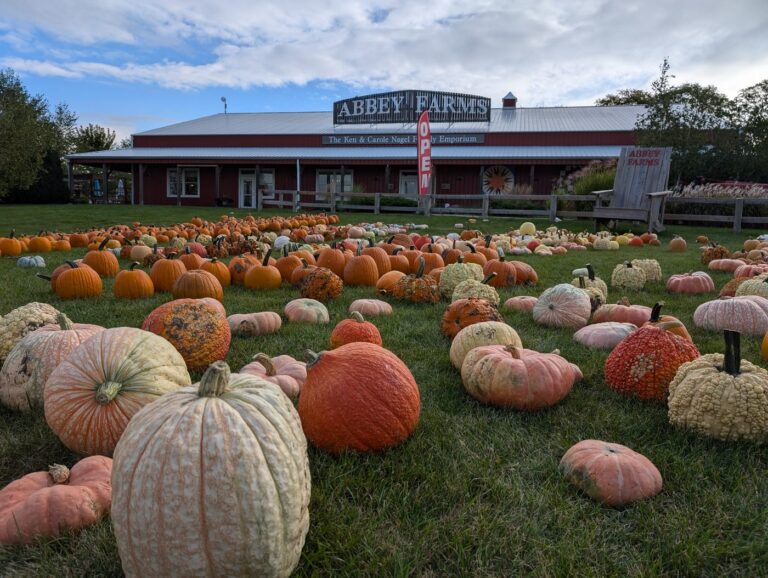 Saturday, September 19 – Tuesday, November 1 | Pumpkin Daze At Abbey Farms In Aurora